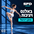 באלנס ויציבות